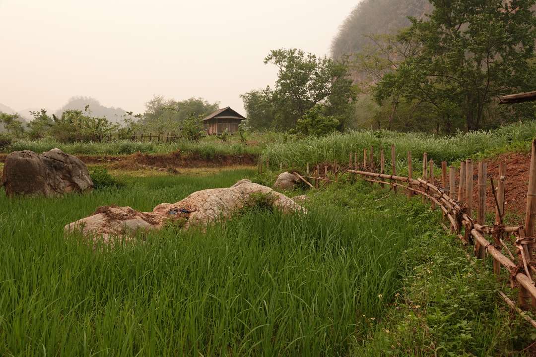 Vietnam Vietnam